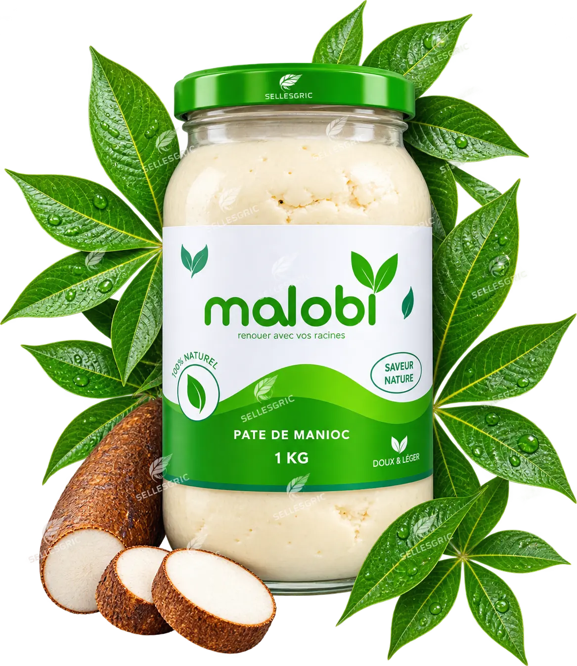 Manioc